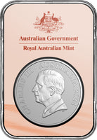 Royal Australian Mint 2024 Kangaroo Series $1 Fine Silver Frosted Uncirculated Coin