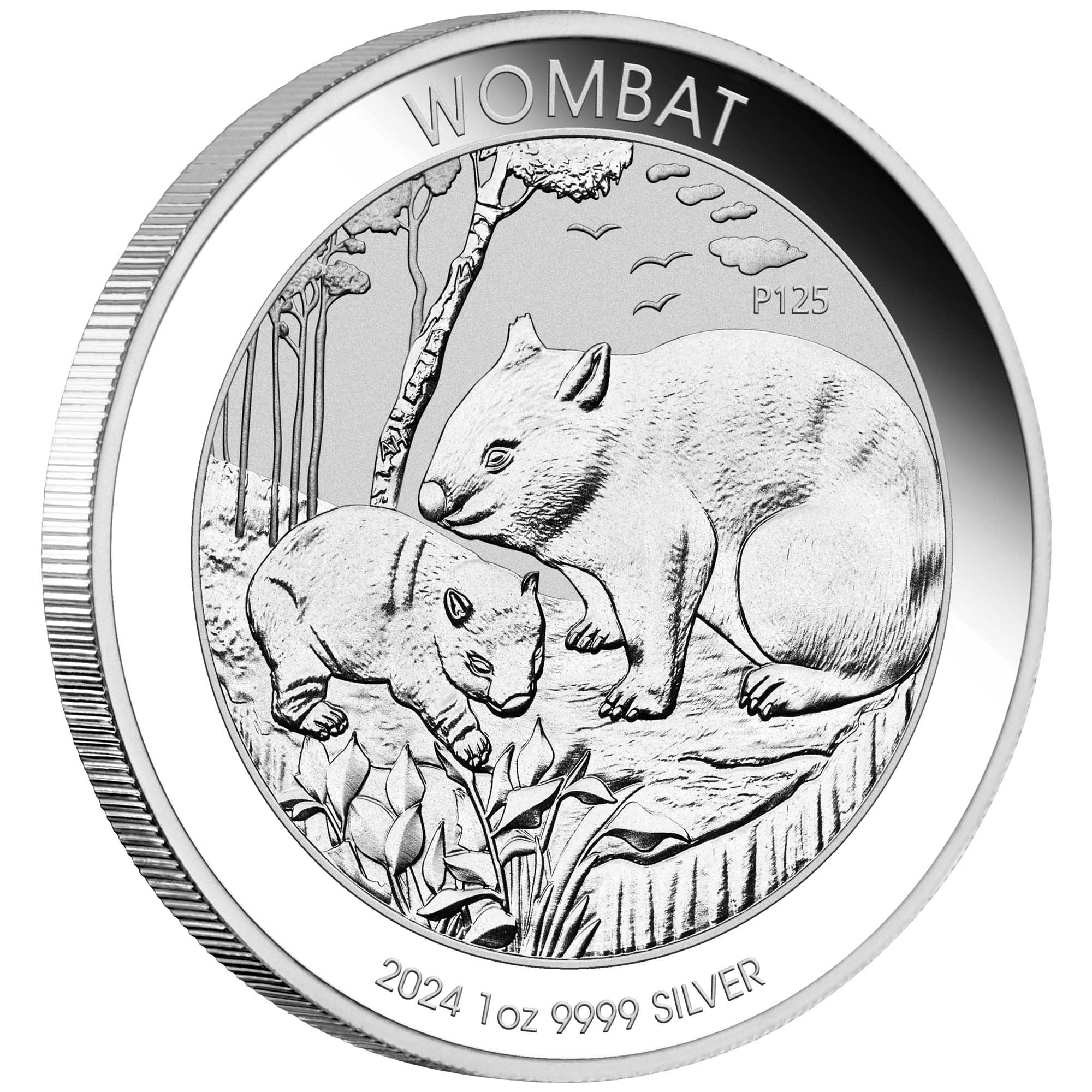 Perth Mint 2024 Wombat 1 oz Silver Bullion Coin