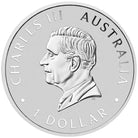 Perth Mint 2024 Brumby 1 oz Silver Coloured Silver Coin