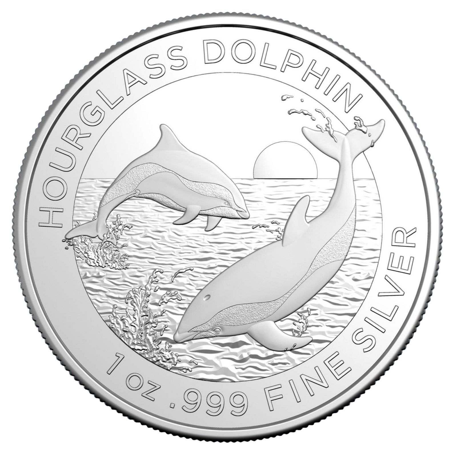 Royal Australian Mint 2024 Hourglass Dolphin $1 Investment Coin