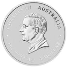 Perth Mint Lunar Series III Year of the Snake 2025 1 oz Silver Coloured Bullion Coin in Card Anda Melbourne Money Expo