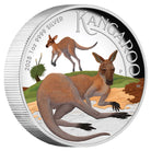 Perth Mint Australian Kangaroo 2025 1oz Silver Proof Coloured High Relief Coin