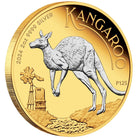 Perth Mint Australian Kangaroo 2024 2oz Silver Reverse Gilded coin