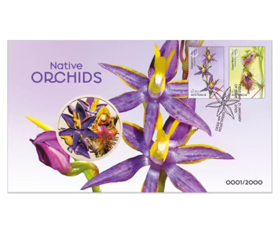 Native Orchids Medallion Cover PNC