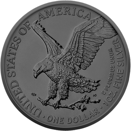 American Eagle 2024 1 oz Silver Multi Holo