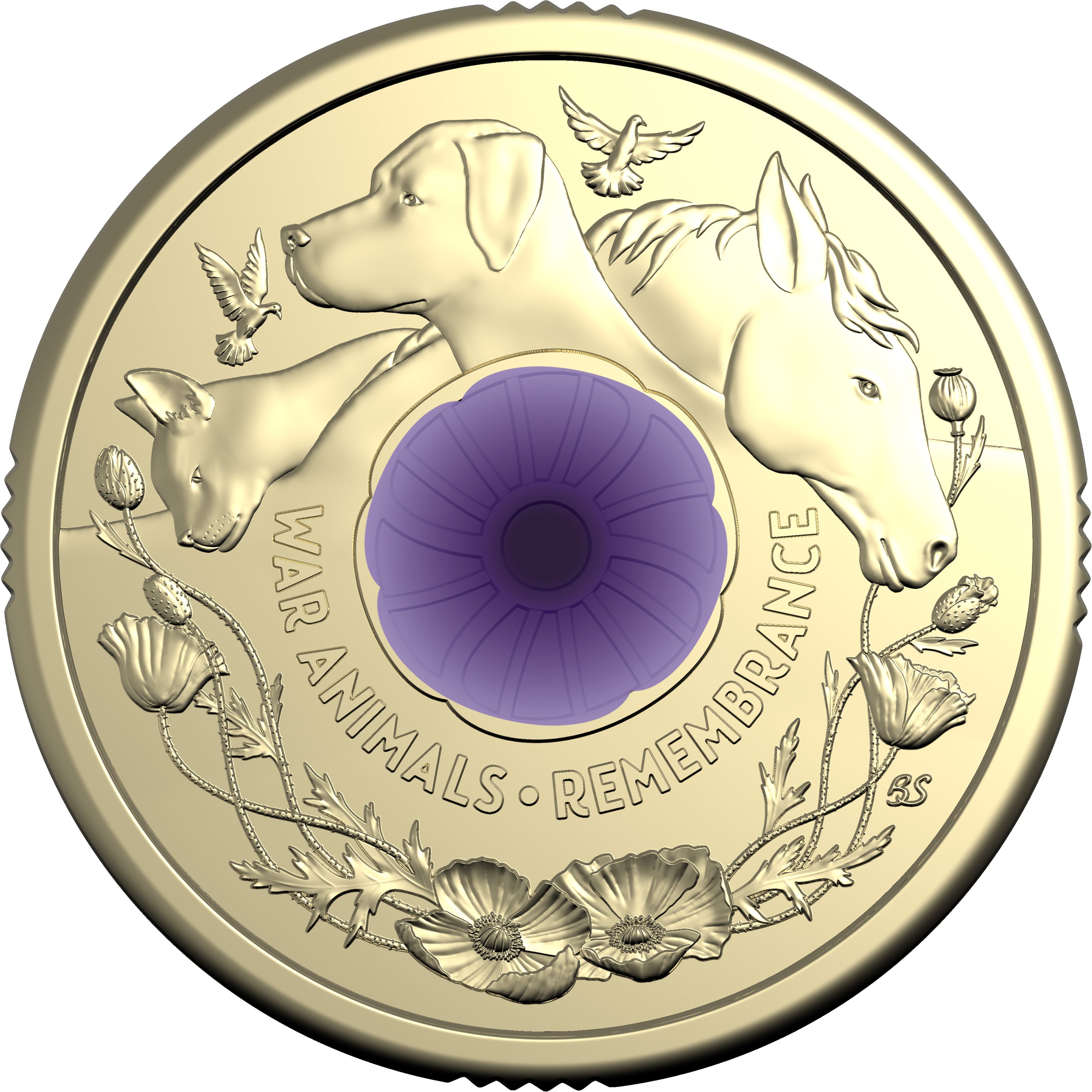 Royal Australian Mint 2024 War Animals Remembrance $2 Purple Poppy Coin