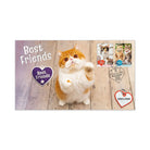 Best Friends Pets Medallion Cover Cats PNC